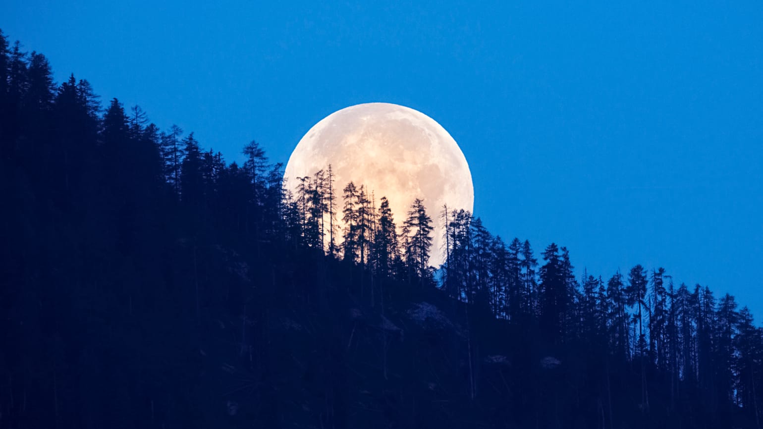 Marche à la découverte de la pleine lune
